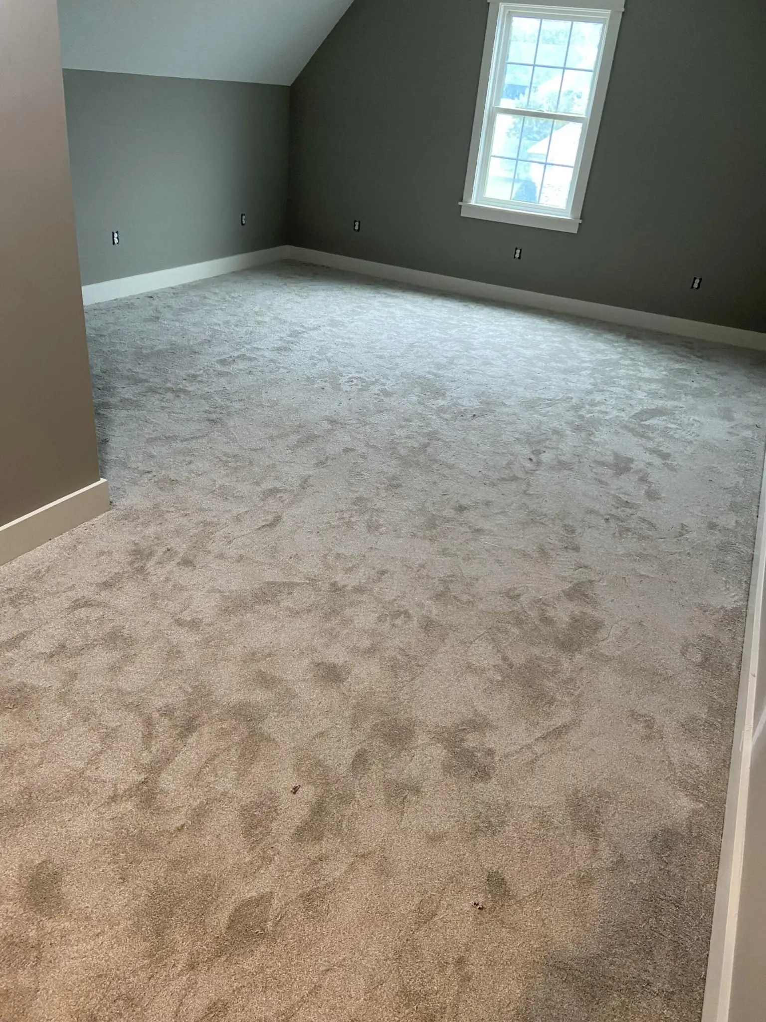 Work photo for Carpet Installation Services