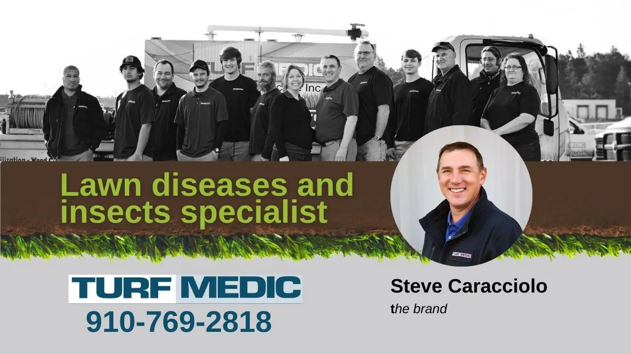 Work photo for Seasonal Lawn Wellness: Expert Care and Tailored Solutions for a Thriving Yard