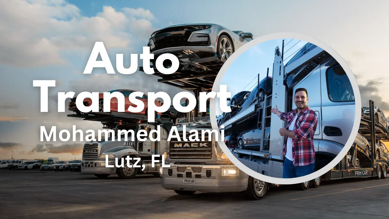 Work photo for Auto Transport Across country