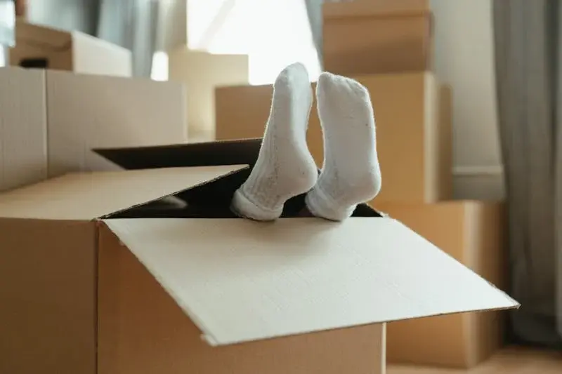 Work photo for Furniture Moving & Labor Assistance