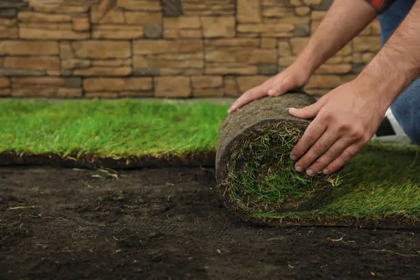 Work photo for Expert Sod Installation and Sprinkler Systems