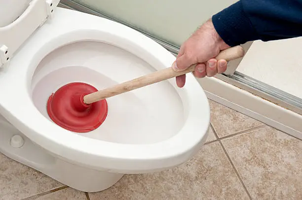 Work photo for Unclog Toilet Service & Flush drain line $320