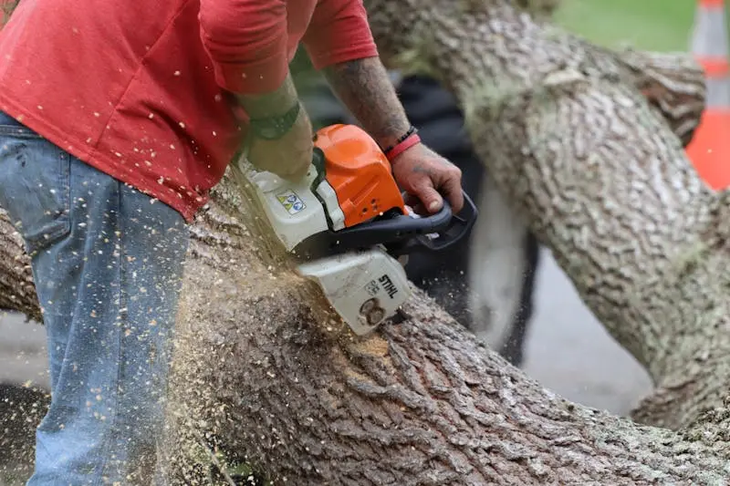 Work photo for Tree Removal & Stump Grinding for Any Location $700