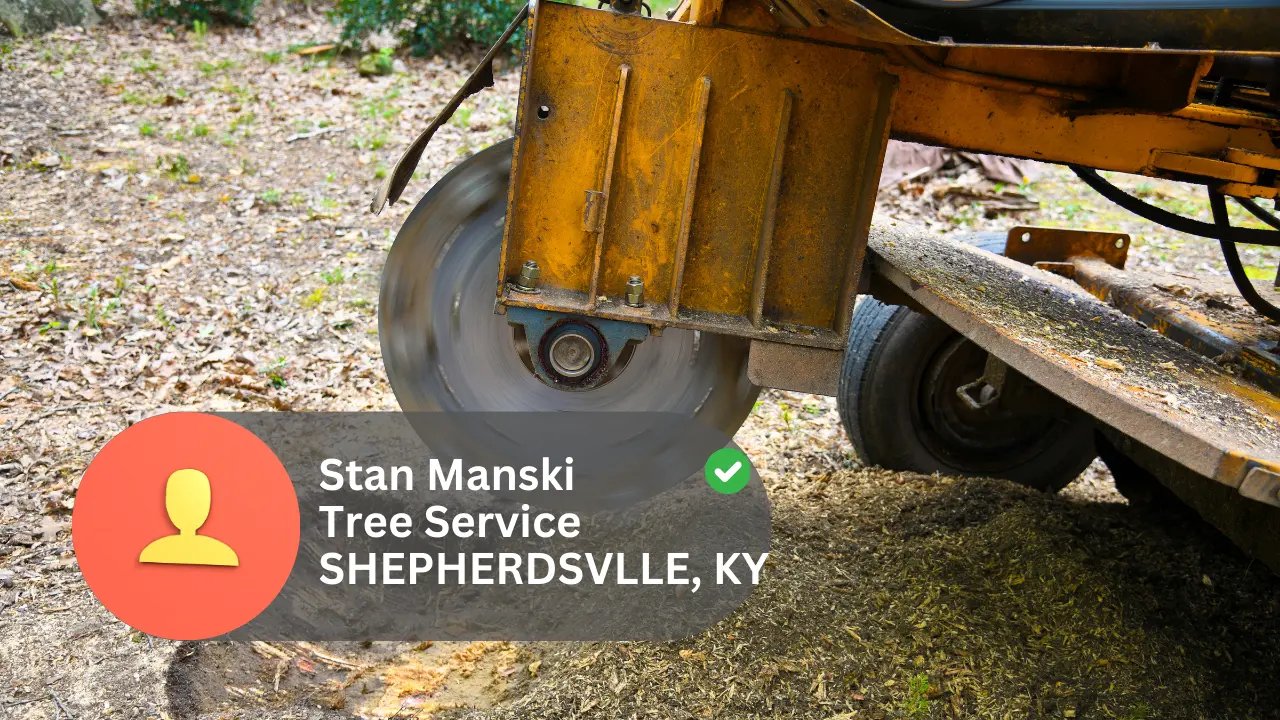 Work photo for Stump Grinding or Removal Service - Around $400