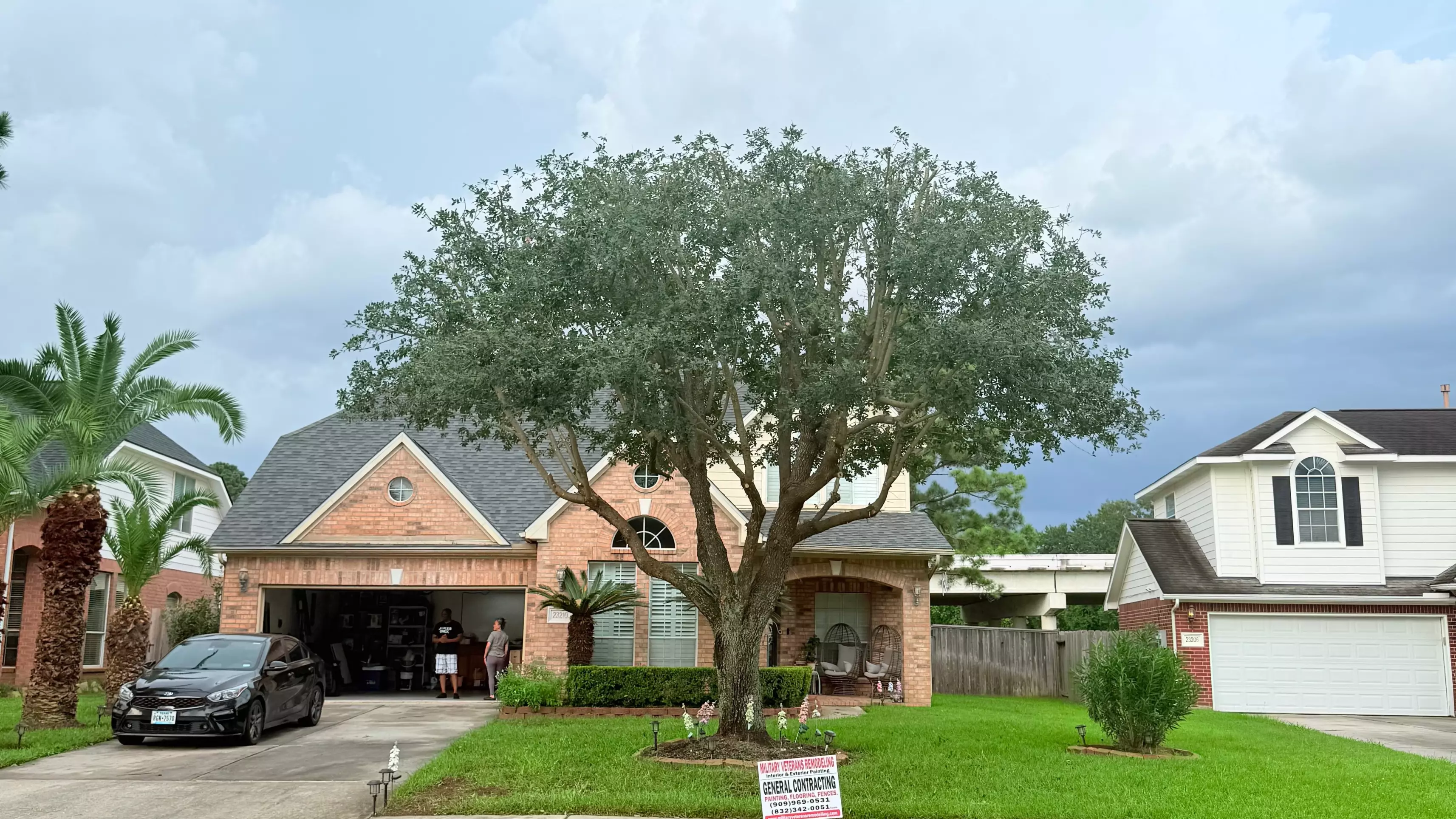 Work photo for Standard Tree Pruning Package $300
