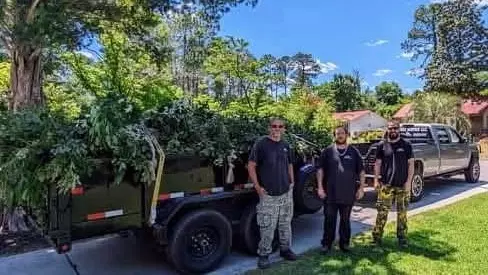 Work photo for B&B Tree Service offers tree trimming, removal, land clearing and clean up.