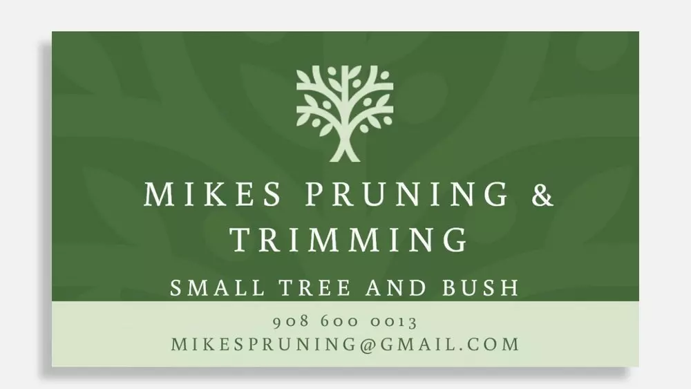 Work photo for Basic Tree Trimming Service, Palm Tree Trimming, Bush Trimming, Debris Removal