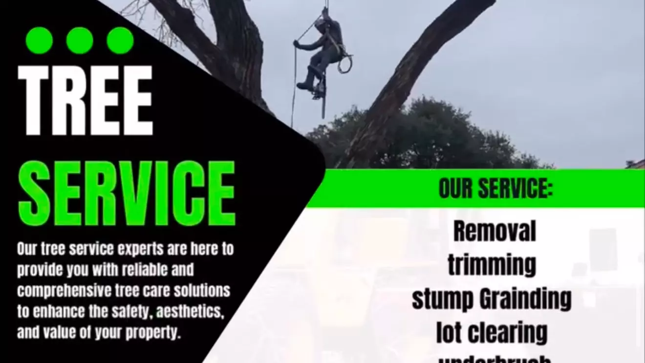Work photo for Tree Removal: Most difficult tree cut, grind and haul $1000